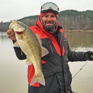 Meet your Posher, Alan